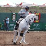 hermandad-de-rocio-concurso-nacional-de-doma-vaquera-hipodromo-11-150x150 Galería